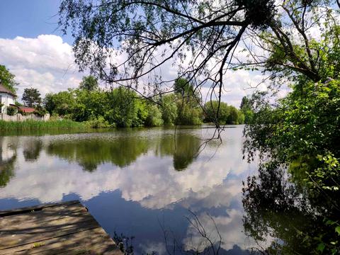 ділянка за адресою Київ, 