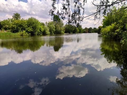 ділянка за адресою Київ, 