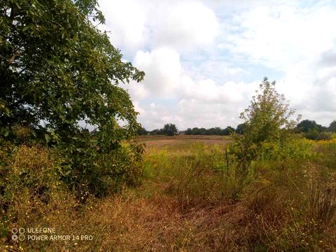 участок по адресу Щорса