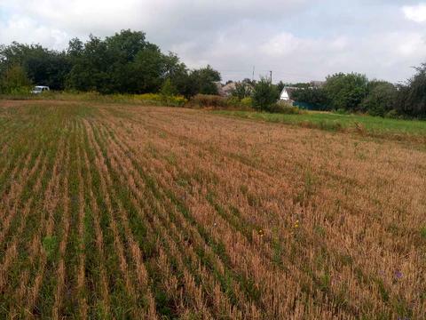 участок по адресу Щорса