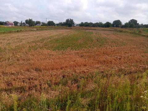 участок по адресу Щорса