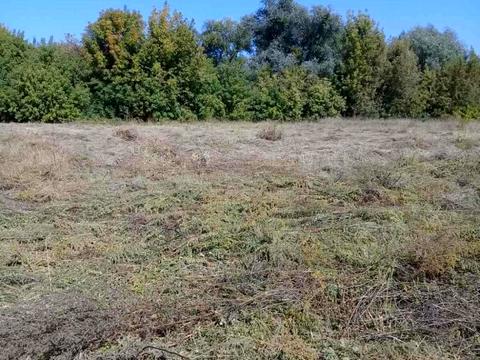 ділянка за адресою Київ, 