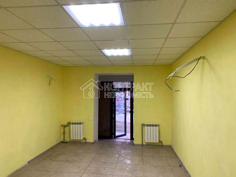 комерційна за адресою Науки просп. (Леніна), 29