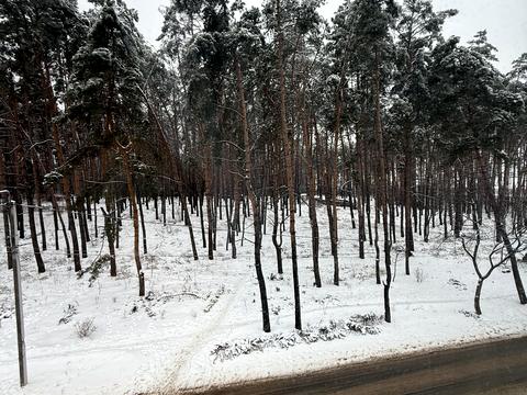 квартира по адресу Белокур ул. (Курская), 10