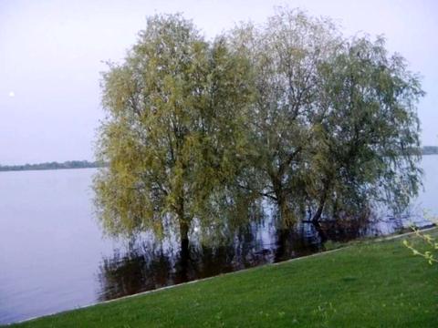 будинок за адресою Богатирська вул.