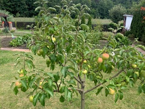 дом по адресу Ольги Юровської