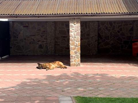 дом по адресу Ольги Юровської