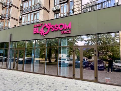 коммерческая по адресу Владимира Антоновича ул. (Свердлова), 36-К