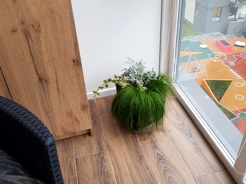 квартира за адресою Княгині Ольги вул., 98п