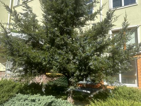 квартира за адресою Борщагівська вул., 30-А