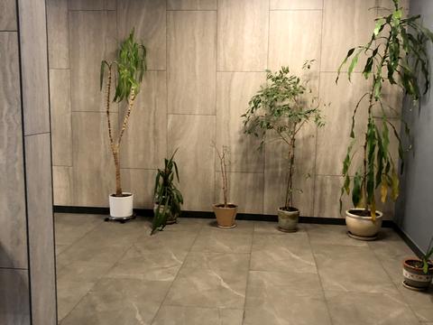 квартира за адресою Ковальський пров., 19