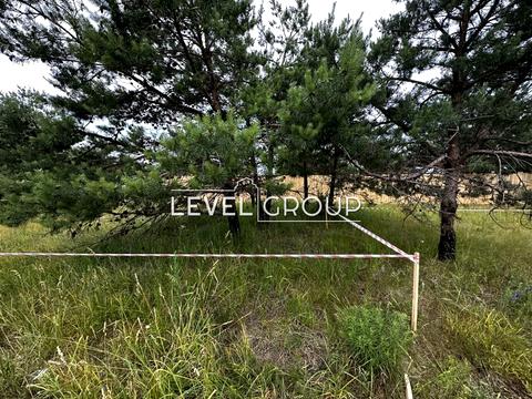 ділянка за адресою с. Северинівка, Пилипа Орлика вул.