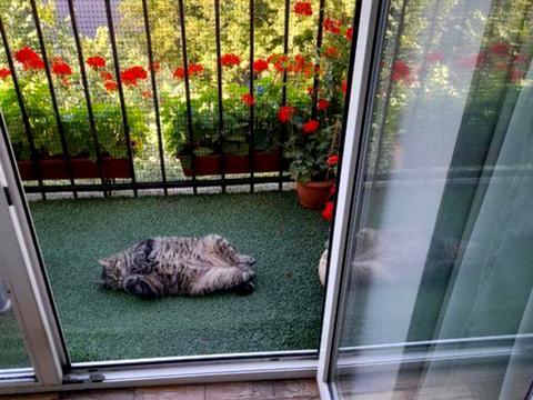 квартира за адресою Іоанна Павла II вул. (Патріса Лумумби), 15