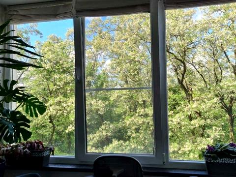 квартира по адресу Академіка Шалімова ул., 67-В