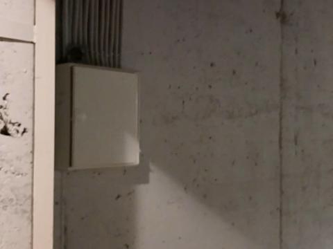 комерційна за адресою Ірпінь, Західна вул., 14