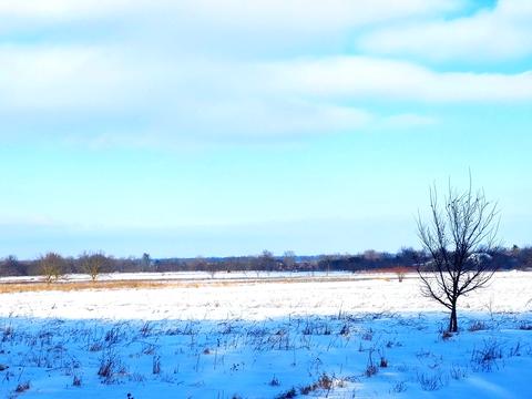 ділянка за адресою Покровська