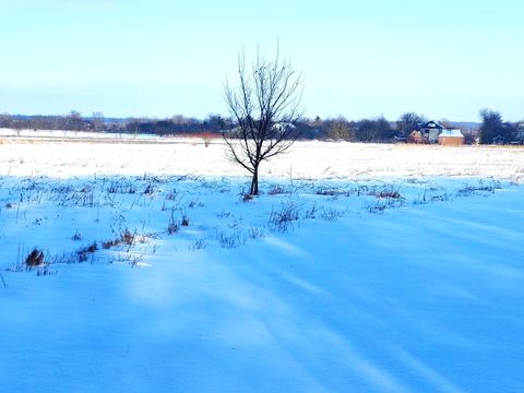 ділянка за адресою Покровська