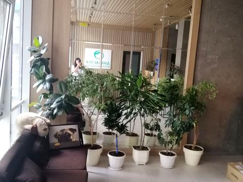 квартира за адресою Митрополита Василя Липківського вул. (Урицького), 37-Б