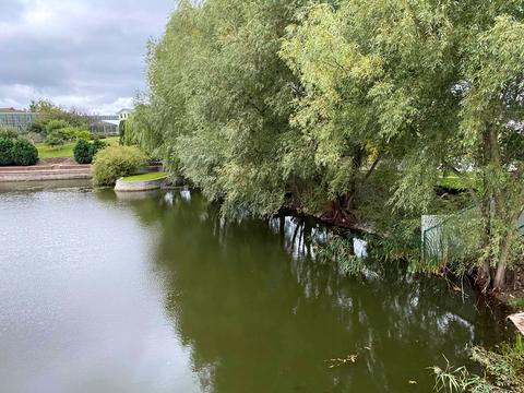 ділянка за адресою 