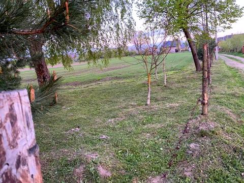 дом по адресу Центральна