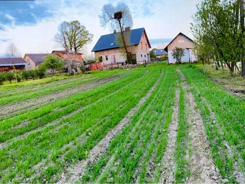 дом по адресу Центральна