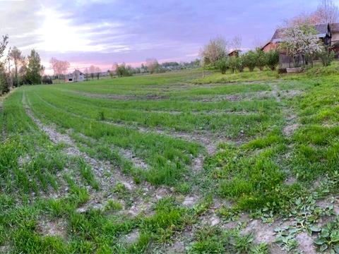 дом по адресу Центральна