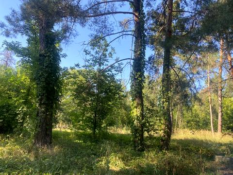 участок по адресу Анатолия Соловьяненко ул.