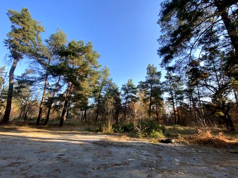 участок по адресу Анатолия Соловьяненко ул.