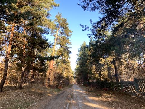 участок по адресу Анатолия Соловьяненко ул.