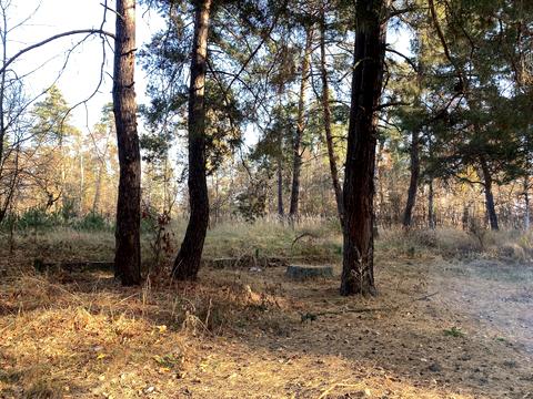 участок по адресу Анатолия Соловьяненко ул.