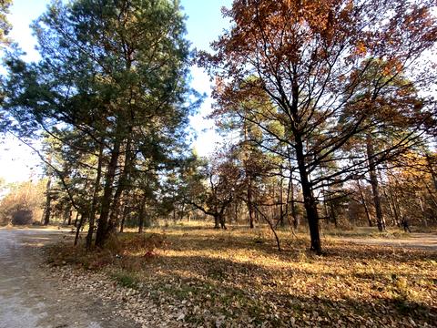участок по адресу Анатолия Соловьяненко ул.