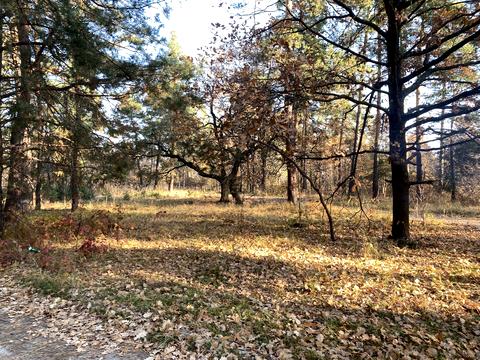 участок по адресу Анатолия Соловьяненко ул.