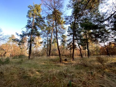 участок по адресу Анатолия Соловьяненко ул.