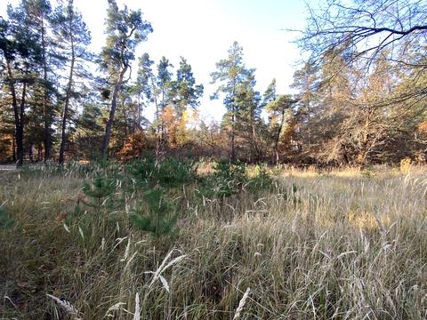 участок по адресу Анатолия Соловьяненко ул.