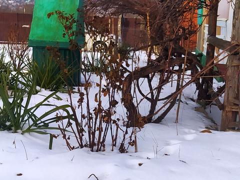 дом по адресу Хмельницкий,  ул.