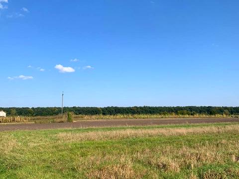 участок по адресу Дачна, 4