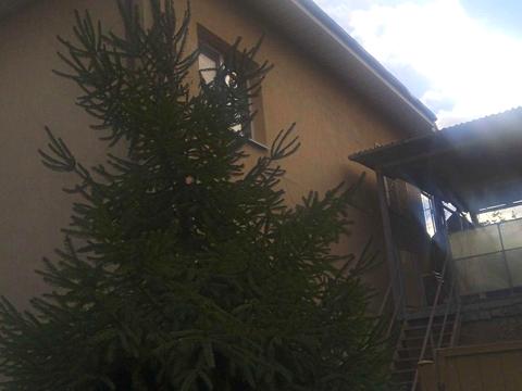 дом по адресу Світлицького ул.