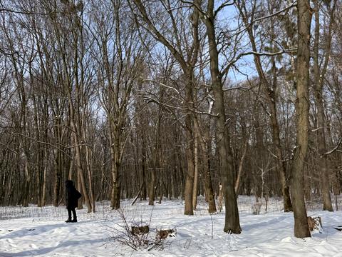 квартира по адресу Львов, Щирецкая ул., 55