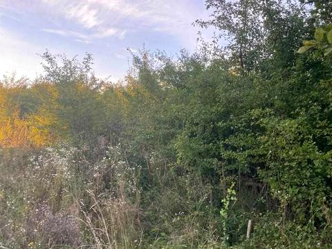 участок по адресу Івасюка