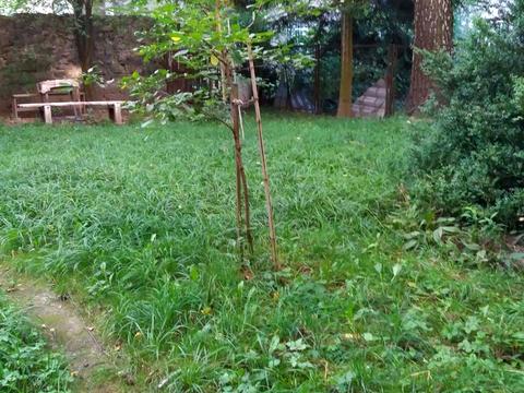 квартира по адресу Героев Майдана ул. (Гвардейская), 40