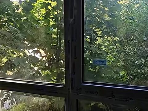 квартира по адресу Погулянка ул., 14