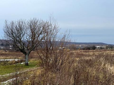 участок по адресу 