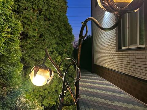 будинок за адресою Вишнева