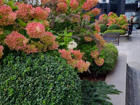 квартира по адресу Оболонский просп., 26