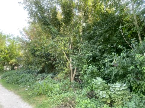 ділянка за адресою 