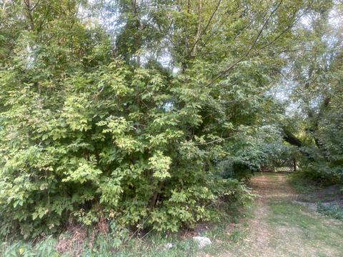 ділянка за адресою 