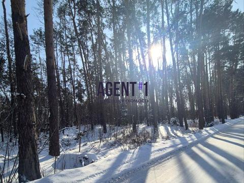 дом по адресу Пасічна