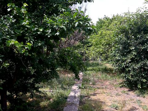 дом по адресу Одесса, 1-ша ул.