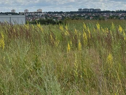 участок по адресу Старова