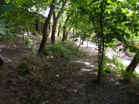 ділянка за адресою 